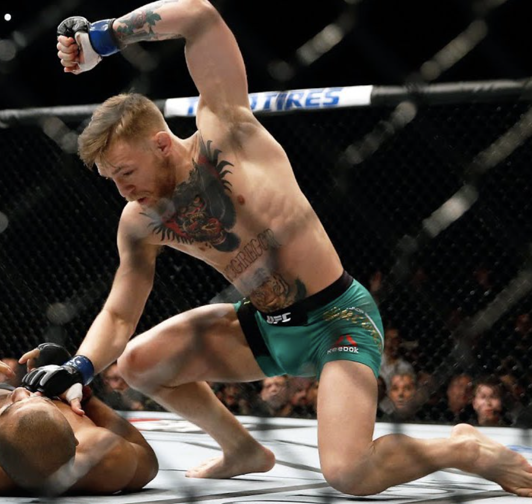 Conor McGregor - Not